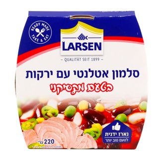 שימורי דג סלמון עם סלט ירקות בסגנון מקסיקני