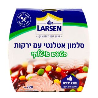 שימורי דג סלמון עם סלט ירקות בסגנון איטלקי