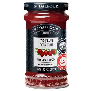 מעדן פרי  תות שדה 17
