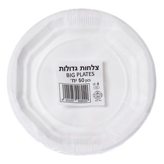 צלחות חד פעמיות גדולות