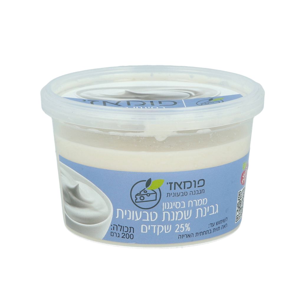 גבינת שמנת טבעונית 2