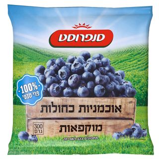 אוכמניות כחולות קפוא300ג