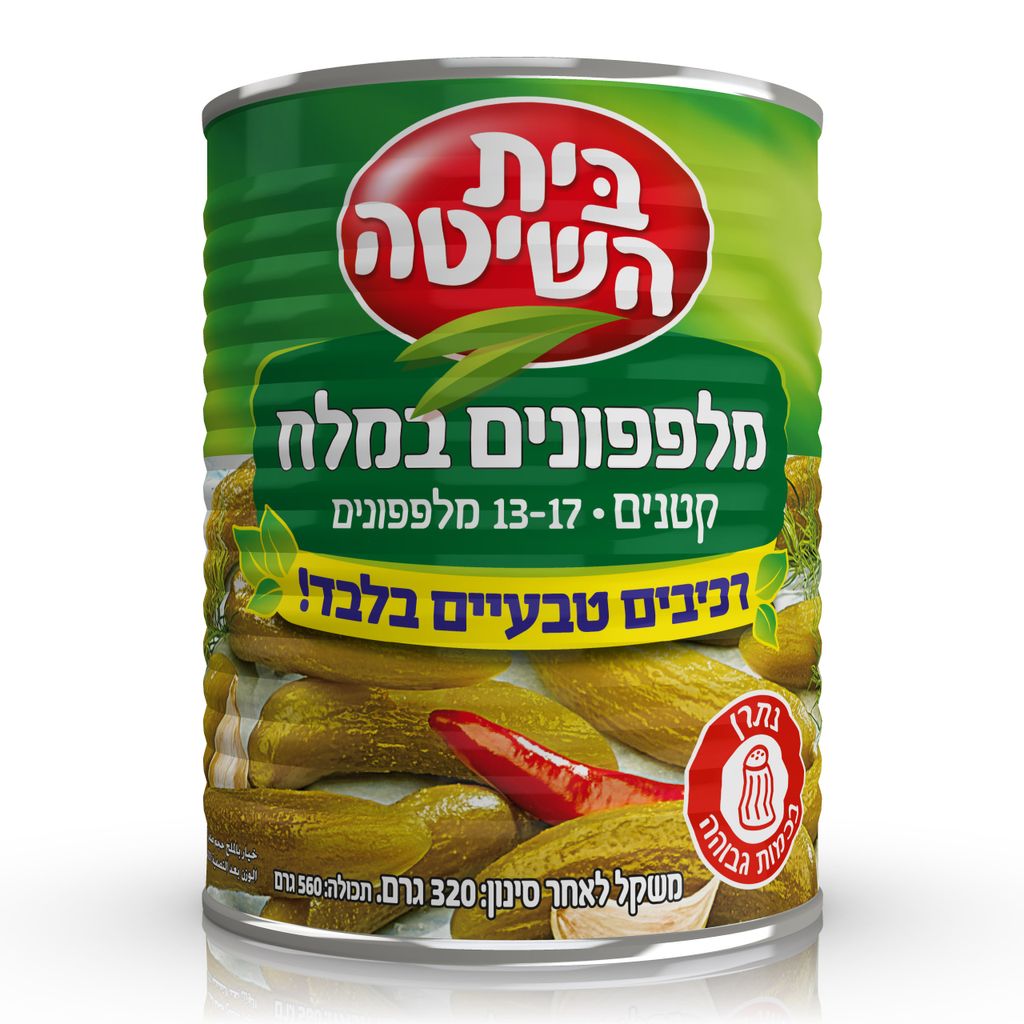בית השיטה מלפ.מלח ר.טבע.א2 17-13 12*320ג