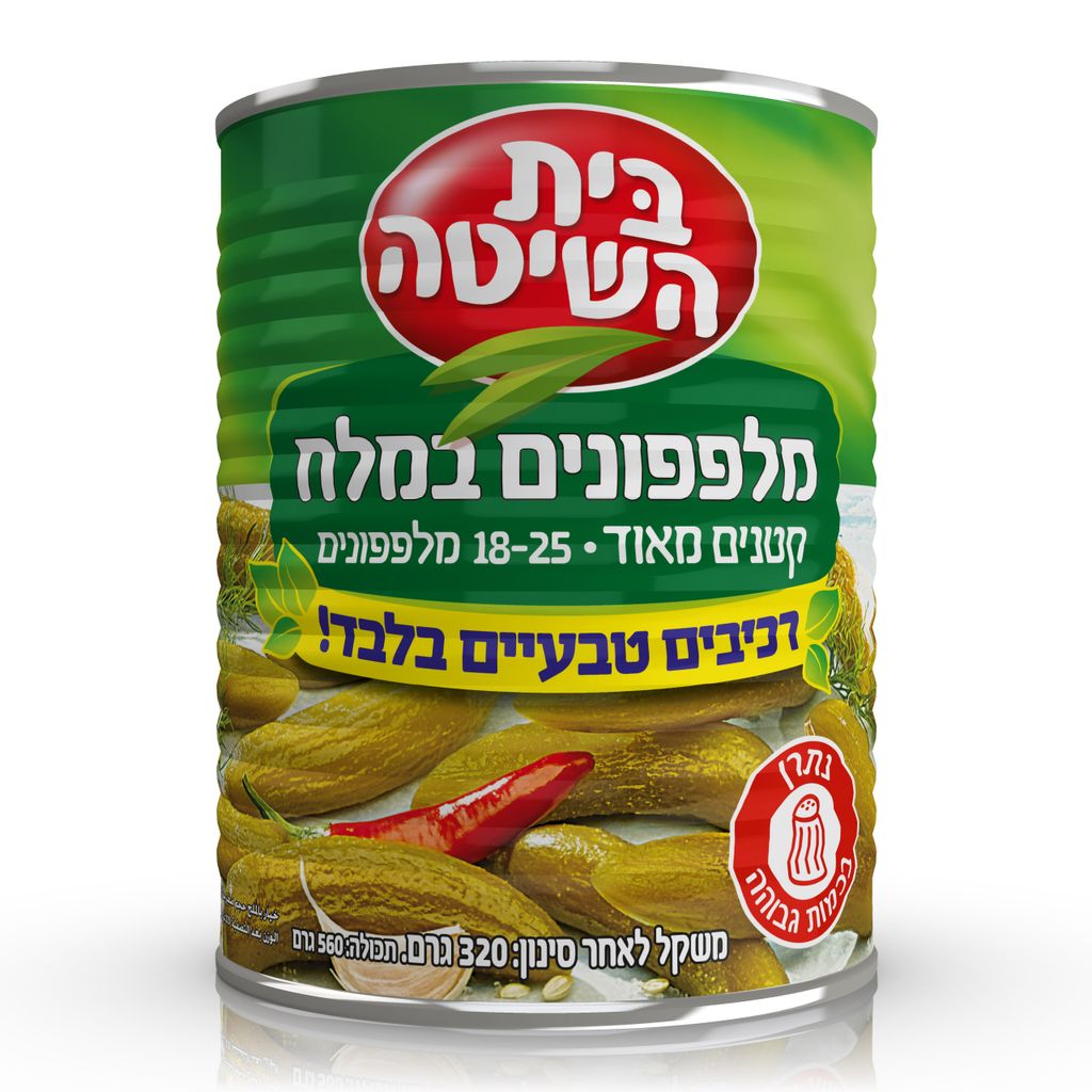 בית השיטה מלפ.מלח.ר.טבע.א2 18-25 12*320ג