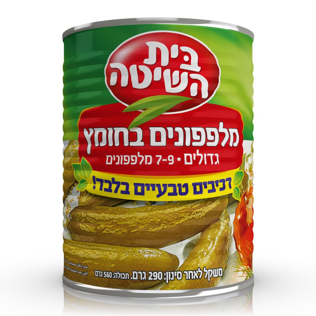 בית השיטה מלפ.בחומץ ר.טבע.א2 7-9 12*290ג