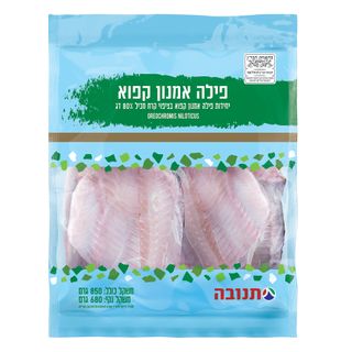 פילה אמנון 5-7 100% דג עד"ח