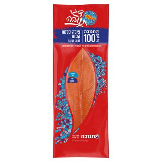 פילה סלמון קפוא תנובה