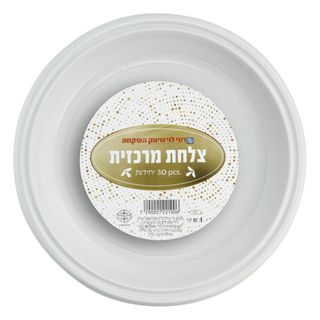 צלחת מרכזית א -30 בנדע