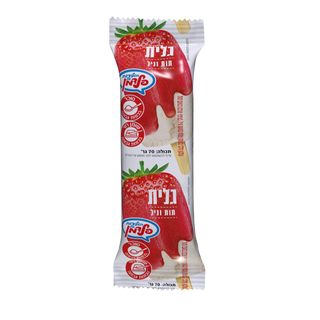 שלגון גלית תות חלבי