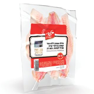 פילה אמנון בוואקום קפוא