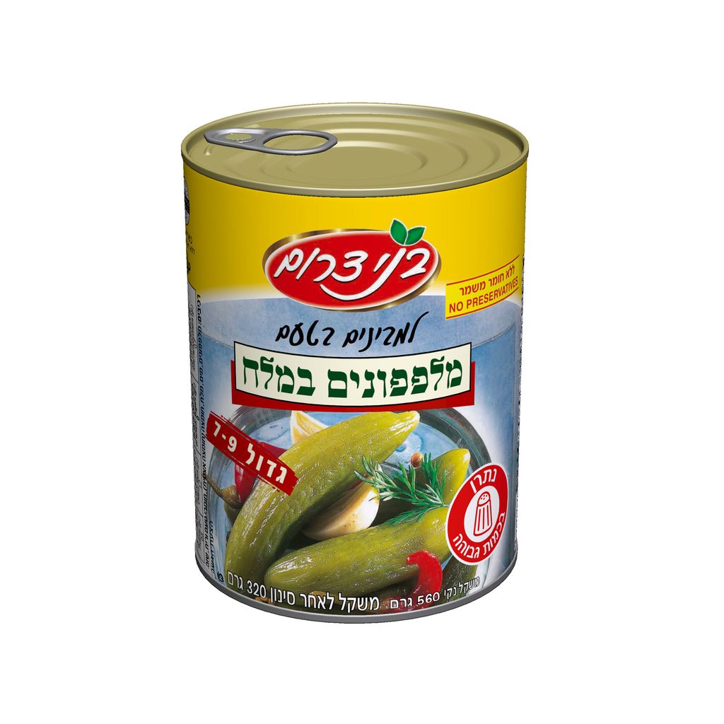 מלפפון במלח 7-9 בני דרום 560 גרם