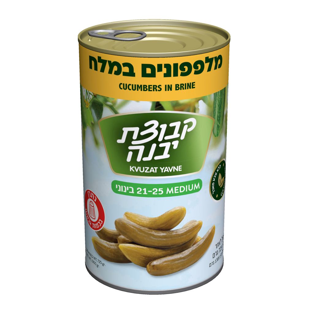 מלפפון במלח 21-25 קבוצת יבנה