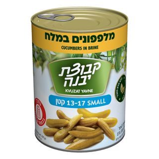 מלפפונים במלח 13-17