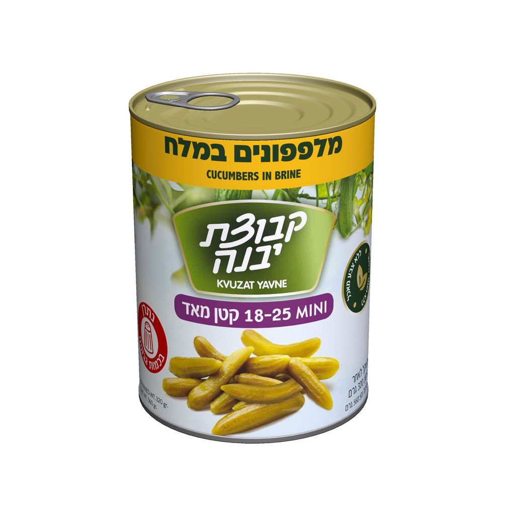 מלפפון במלח 18-25 540גרם