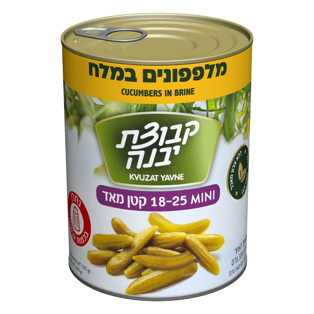 מלפפון קטן במלח A2 1