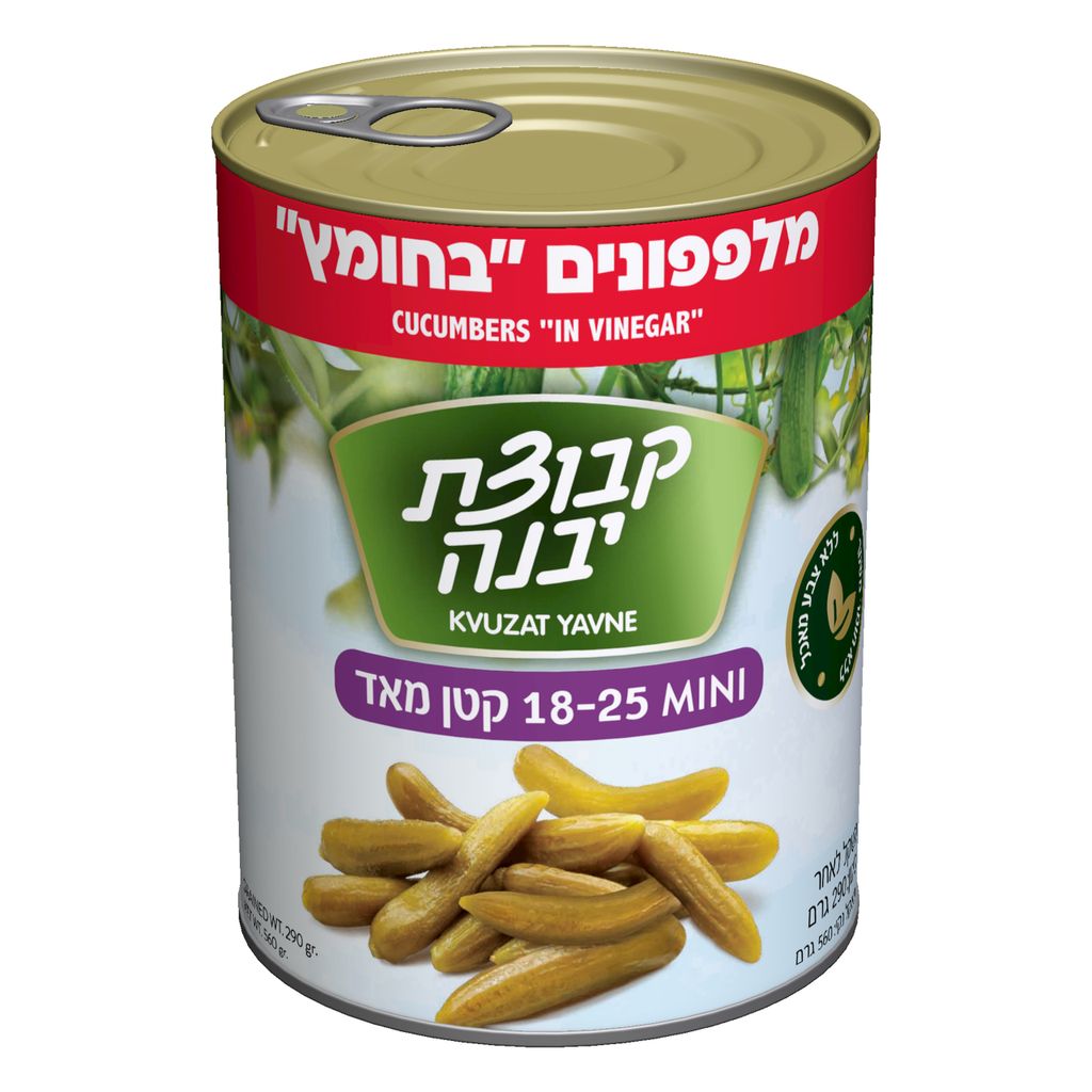 מלפפונים קטנים מאוד בחומץ