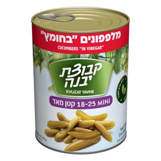 מלפפון בחומץ 18-25 5
