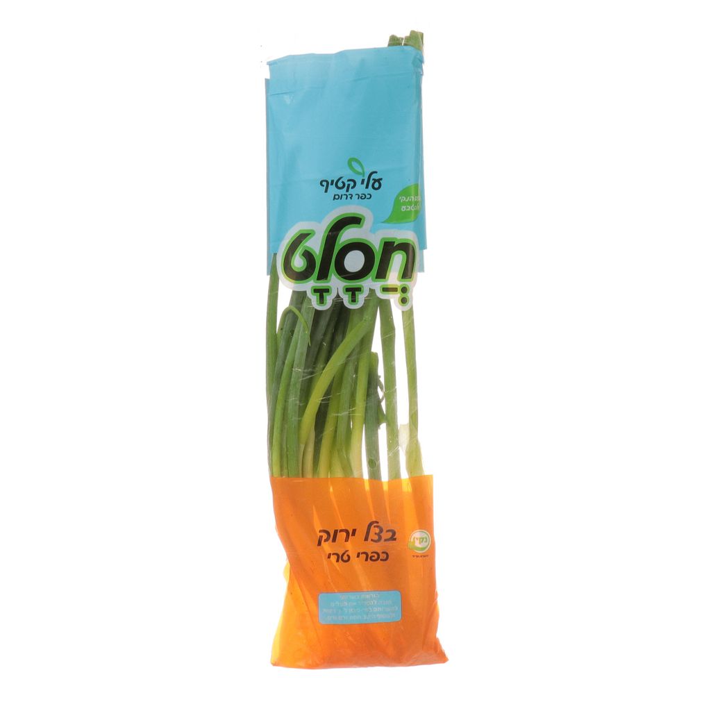 בצל ירוק חסלט