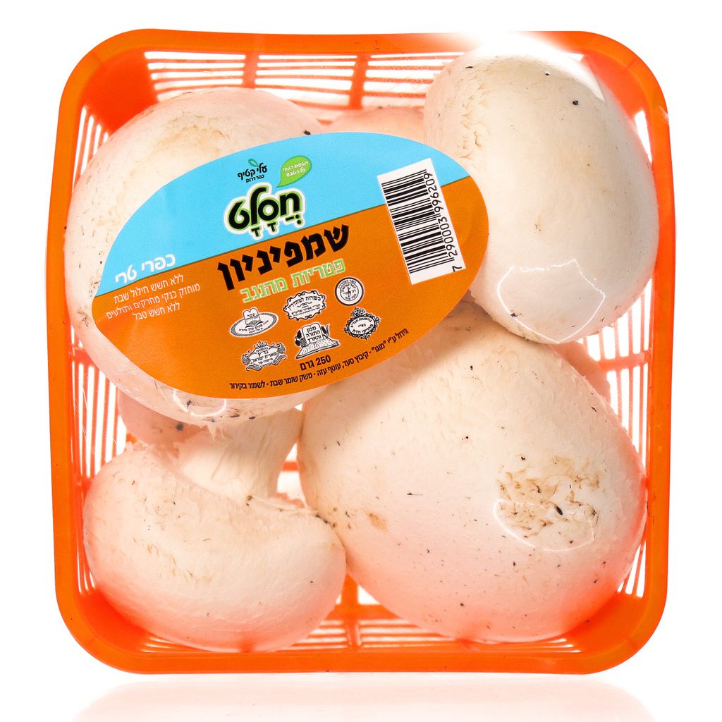 פטריות שמפיניון חסלט ללא חרקים א.א