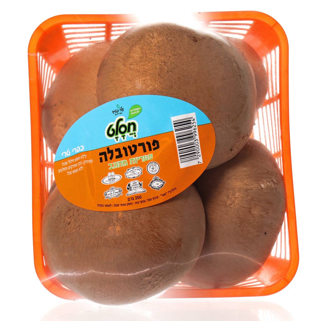 פטריות חורש א.א. חסלט