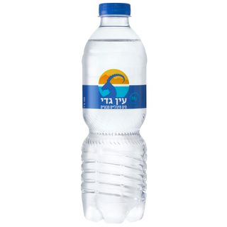 עין גדי 500 מ"ל
