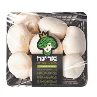 פטריות שמפיניון