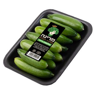 מלפפון בייבי יח'