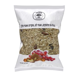 גרנולה