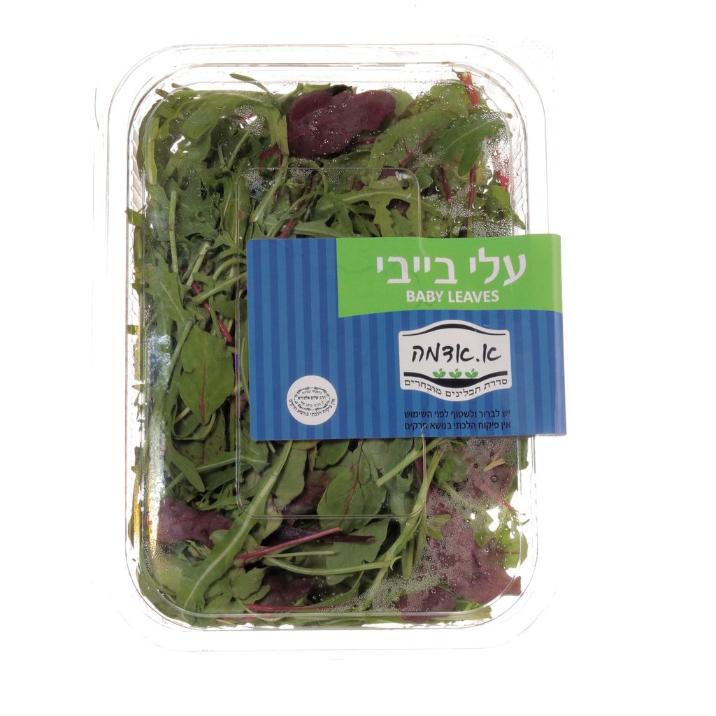 סלט ביבי מיקס בנספק א.אדמה ישראל