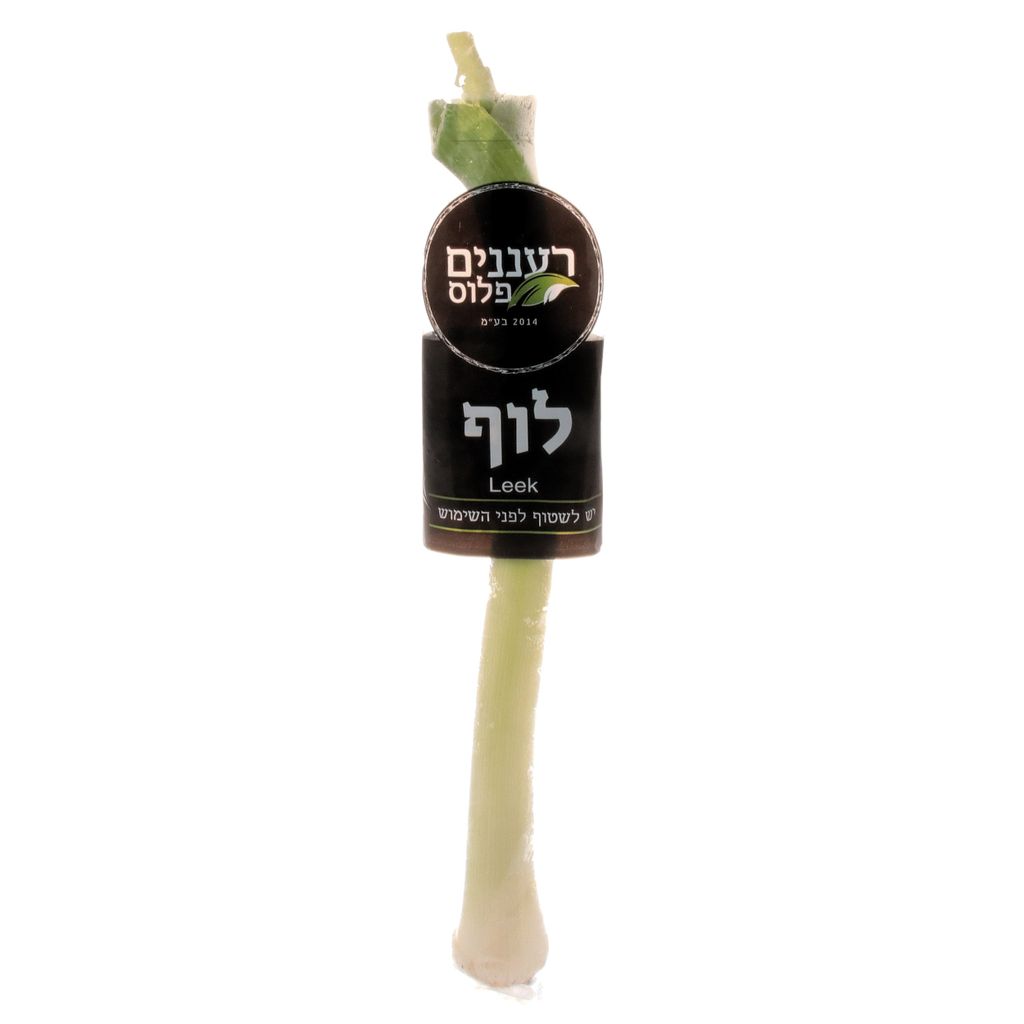לוף ארוז - א.אדמה