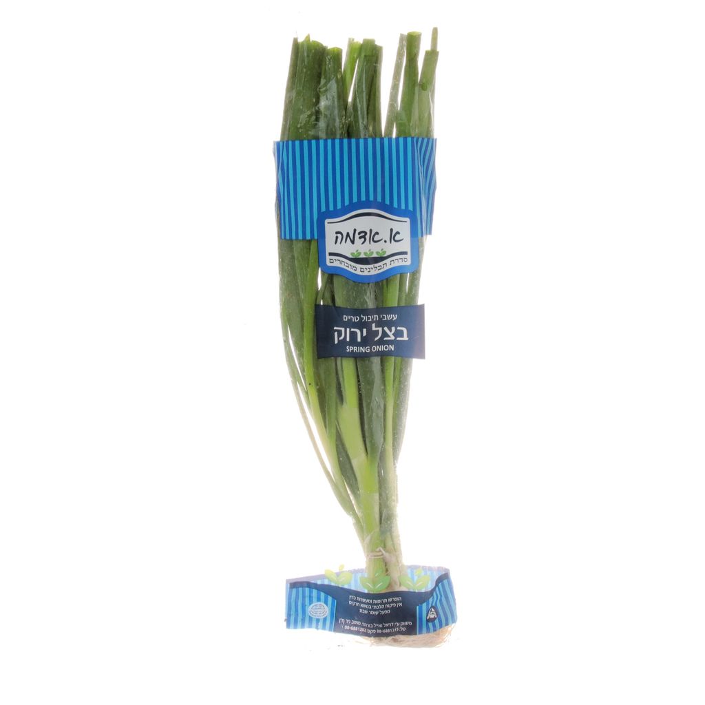 בצל ירוק