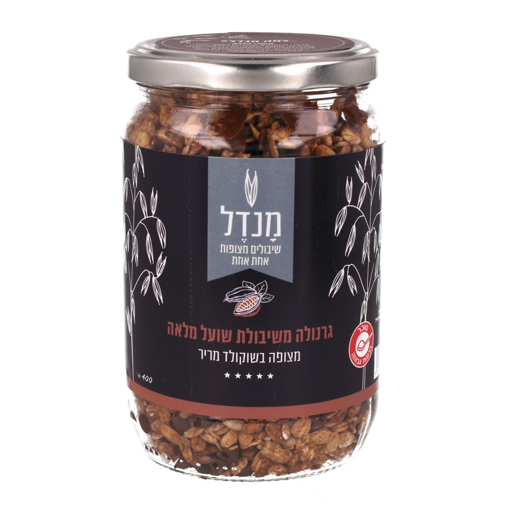 גרנולה שוקולד