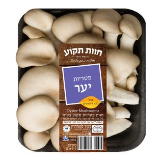 פטריות יער (תקוע)
