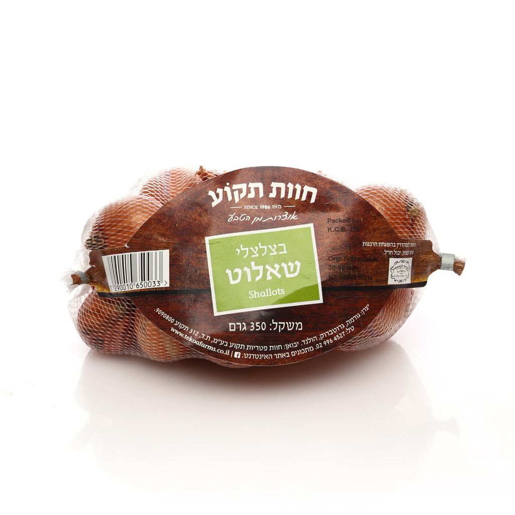 שאלוט