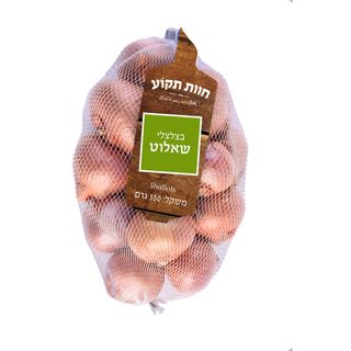 בצלצלי שאלוט
