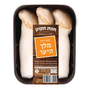 פטריות מלך היער בייב