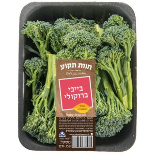 בייבי ברוקולי יח