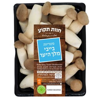 פטריות בייבי מלך היער