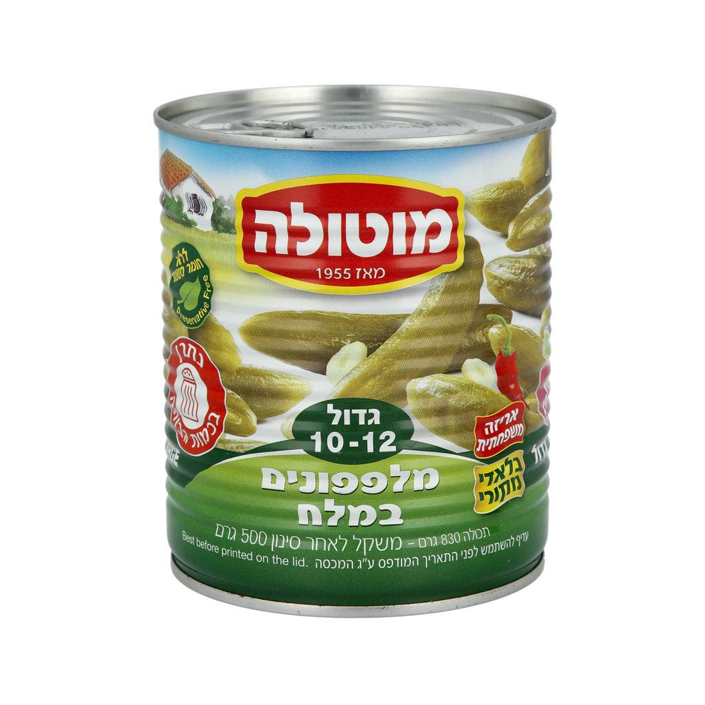 מלפפון במלח 10-12