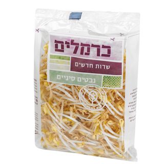 נבטים