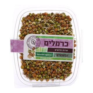 נבטוטים
