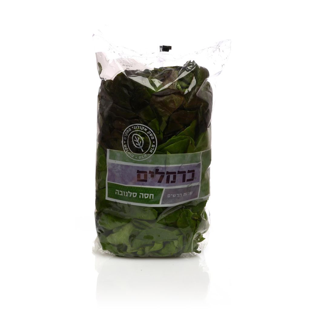 חסה סלנובה א. אדמה