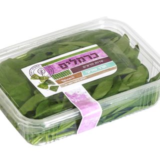 תרד טורקי
