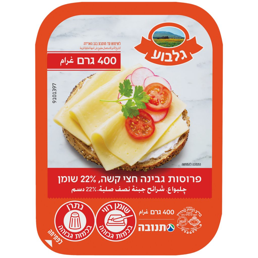 גבינה צהובה 22% שומן
