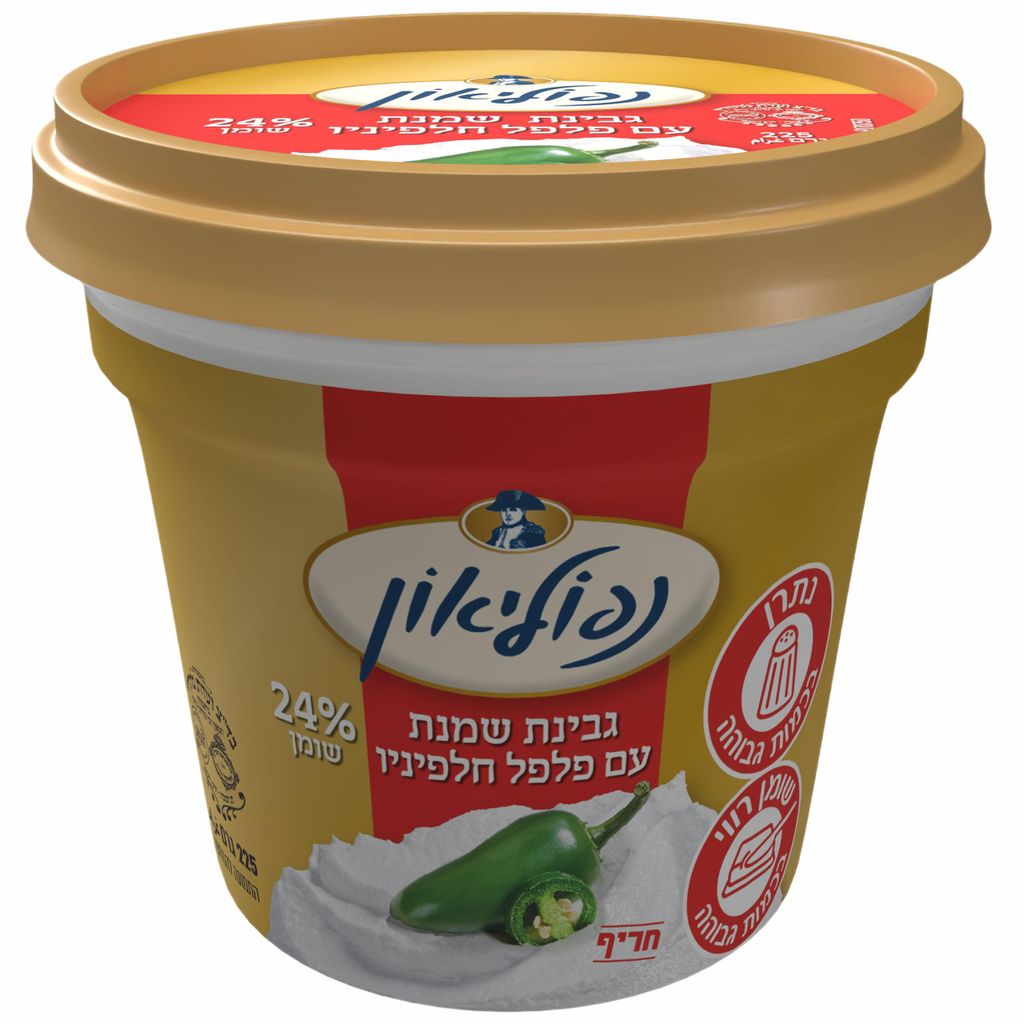 גבינת נפוליאון 25% ע