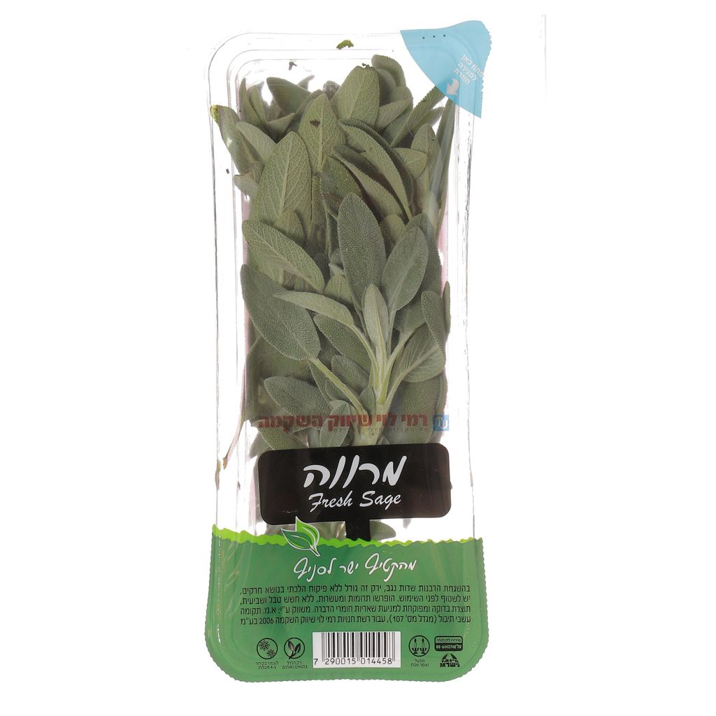 מרווה יח freshlid