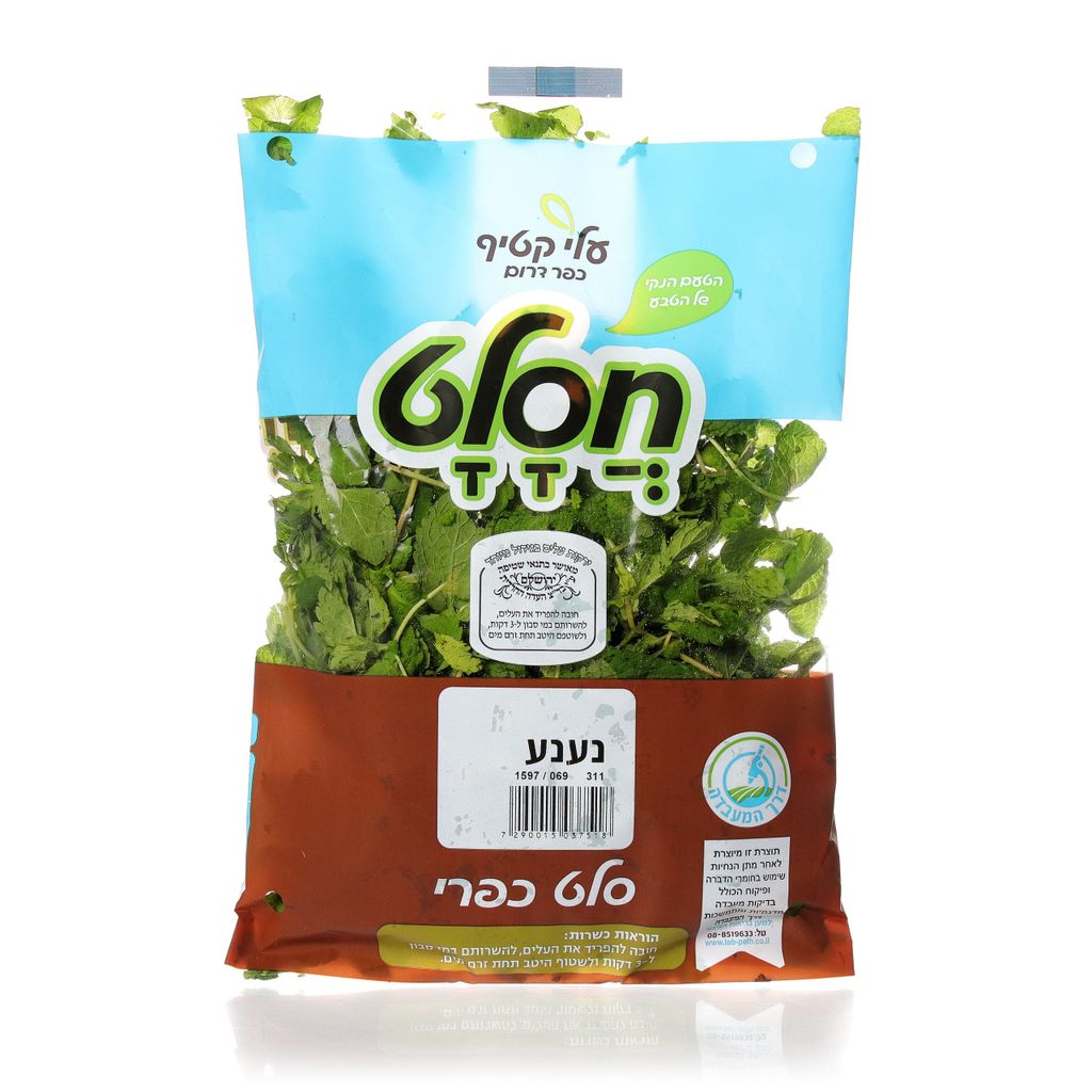 נענע חסלט