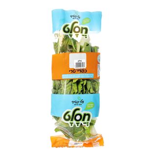 סלק עלים בד"ץ חסלט - יח'