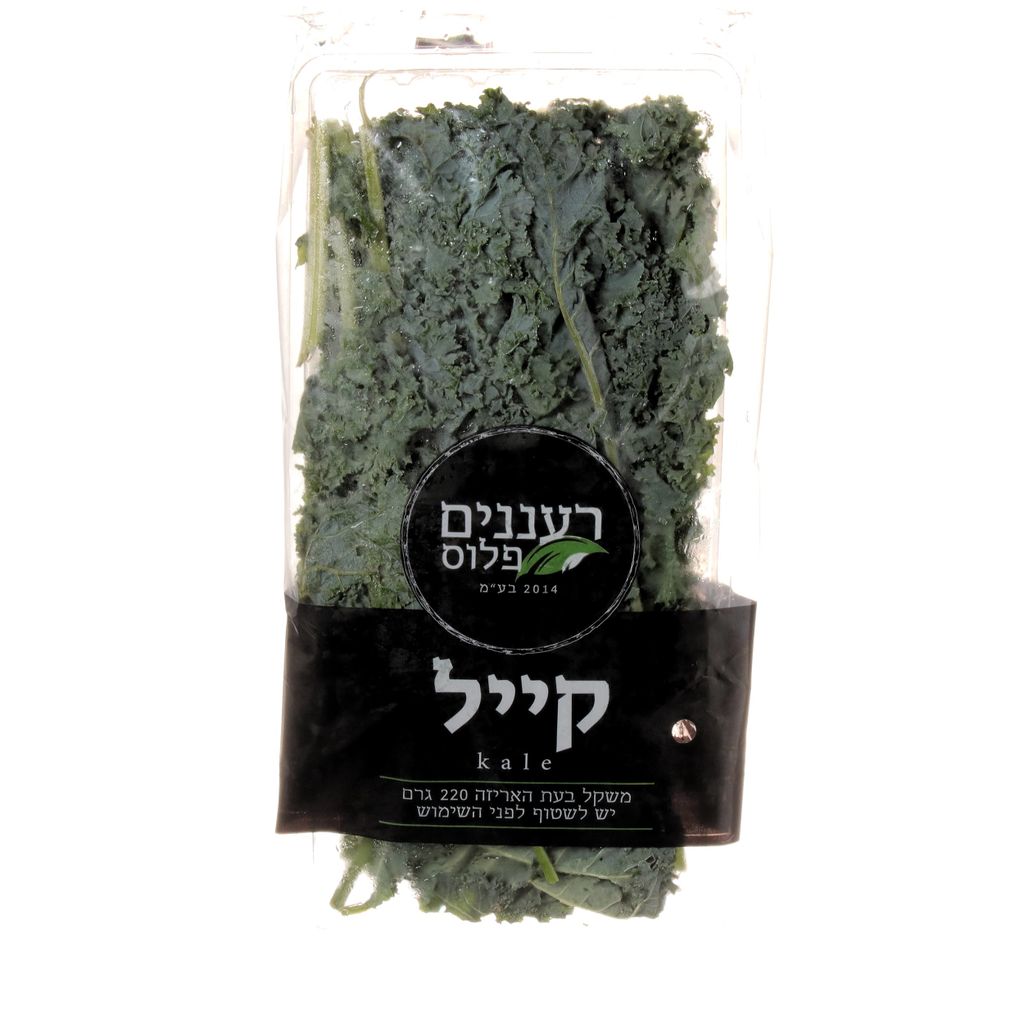 קייל יח