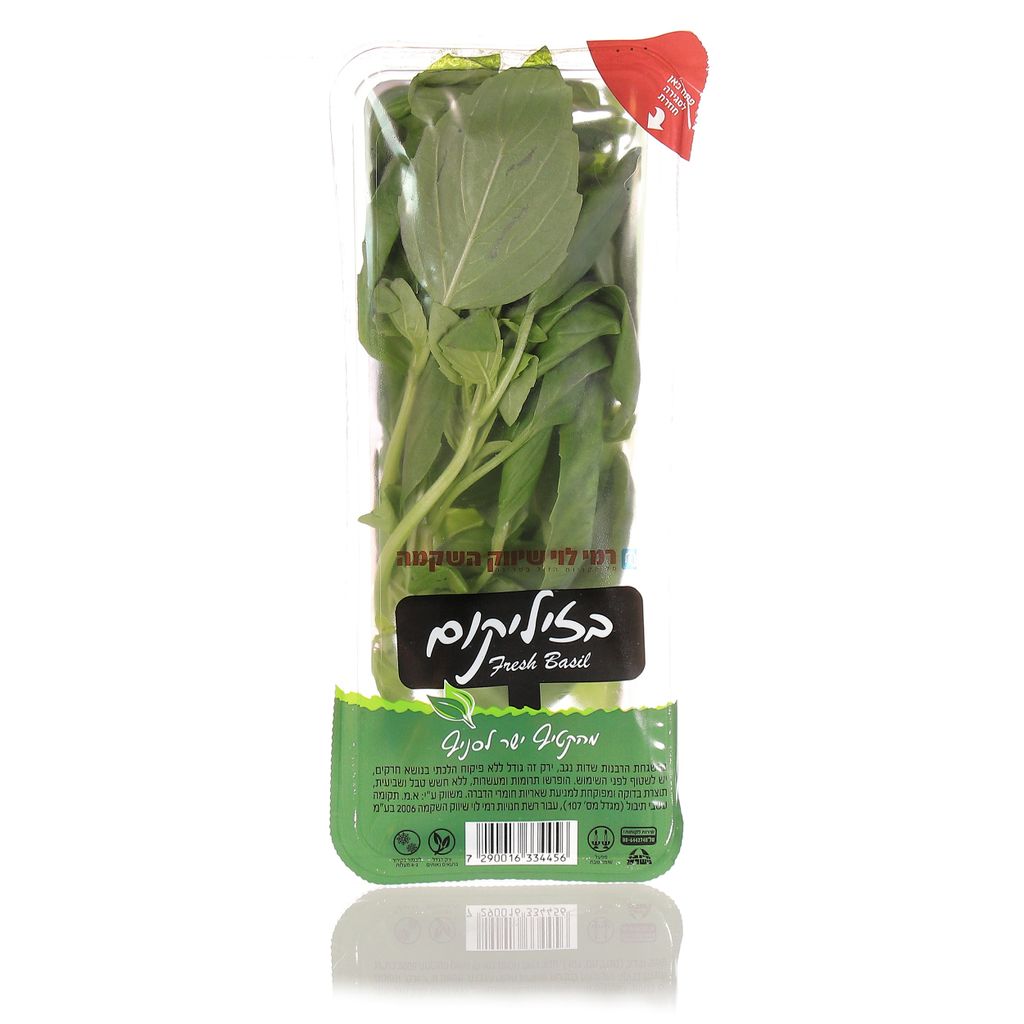 בזיליקום יח freshlid